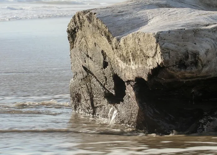 Malayka * Playa Bejuco (Guanacaste)